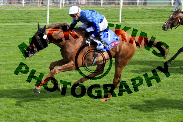 Race 3 - Yibir (4)