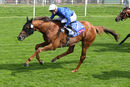 Race 3 - Yibir (4)