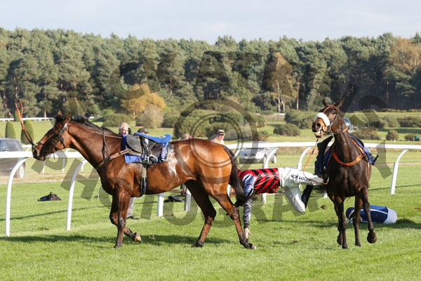 Race 3 (11) - Sweet Holly
