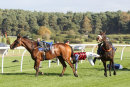 Race 3 (11) - Sweet Holly