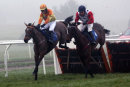 What A Diva - Race 3 (10)