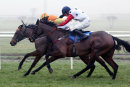 What A Diva - Race 3 (12)