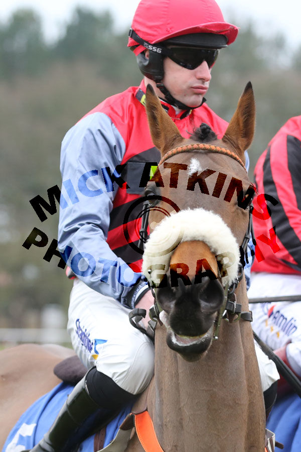 Race 3 (14) - Bally Conor