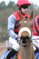 Race 3 (14) - Bally Conor