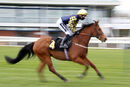 Race 3 (1) - Ready Freddie Go