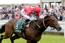 Race 3 (1) - Rogue Bear