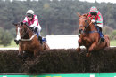 Olivers Gold - Race 3 (36)