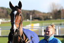 Race 3 (2) - Ceara Be