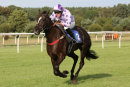 Race 3 (3) - Ballycamp