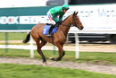Race 3 (3) - Muratello
