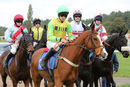 Race 3 (4) - Tight Call