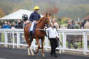 Race 3 (5) - Crystal Hope