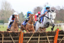 Race 3 (5) - Paddys Runner