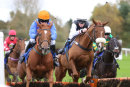 Race 3 (5) - Royal Mandate