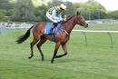 Race 3 (6) - Abies Hollow