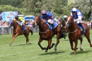Race 3 (6) - Bithynia