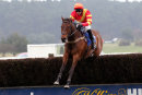 Gin Cobbler - Race 3 (9)
