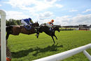 Race 3 (7) - Wonderful Dreamer