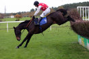 Race 3 (8) - Briery Belle