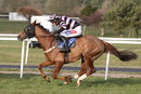 Race 3 (9) - Cornborough