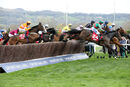 Race 3 - Corach Rambler (3)