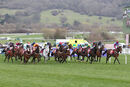 Race 3 - Corach Rambler (4)