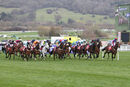 Race 3 - Corach Rambler (5)