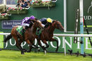 Race 4- Japan (2)