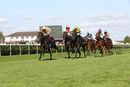 Race 4 - A Ali (1)