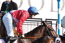 Race 4 - A Plus Tard (1)