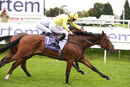Race 4 - Aaddeey (6)