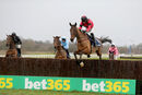 Race 4 - Ahoy Senor (2)