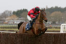Race 4 - Ahoy Senor (6)