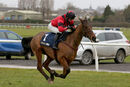 Race 4 - Ahoy Senor (8)