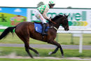 Race 4 - Akarita Lights (2)
