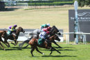 Race 4 - Aljady (6)