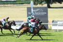 Race 4 - Aljady (7)