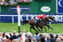 Race 4 - Alpha Delphini (6)012