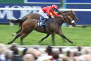 Race 4 - Alpha Delphini (8)014