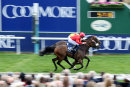 Race 4 - Alpha Delphini (9)015