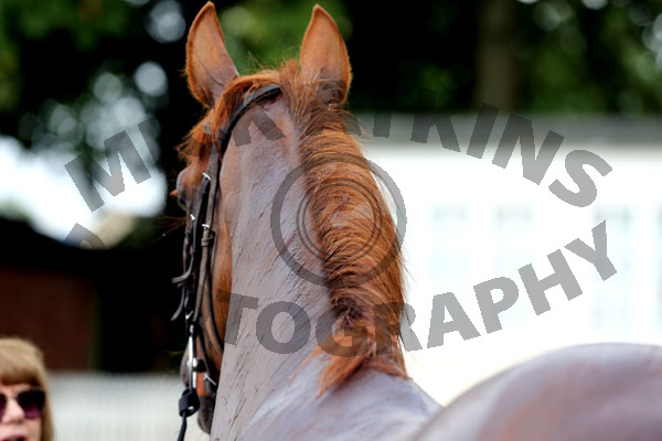 Race 4 - Another Situation (12)
