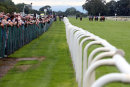 Race 4 - Another Situation (2)