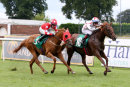 Race 4 - Another Situation (5)