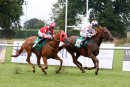 Race 4 - Another Situation (6)