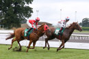 Race 4 - Another Situation (7)