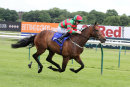 Race 4 - Another Touch (13)