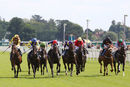 Race 4 - Archie Perkins (2)