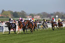 Race 4 - Autumn Festival (2)
