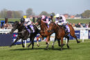 Race 4 - Autumn Festival (3)