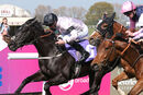 Race 4 - Autumn Festival (4)
